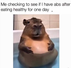 Stupid Bar Memes methysgut