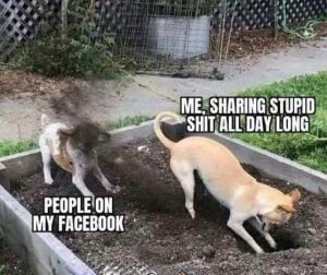Stupid Bar Memes ogssdigging