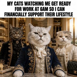 Stupid Bar Memes royaltyifestyle