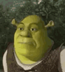 Stupid Bar Memes shreksshrek1