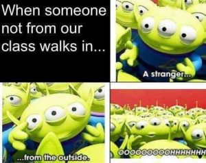 Stupid Bar Memes 1517cdfb7f