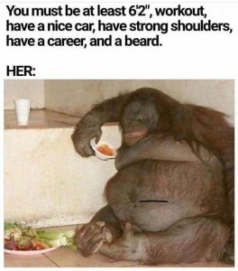 Stupid Bar Memes 41ca16fd57