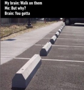 Stupid Bar Memes 481d1b53b