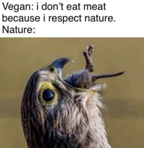 Stupid Bar Memes 4dddd611