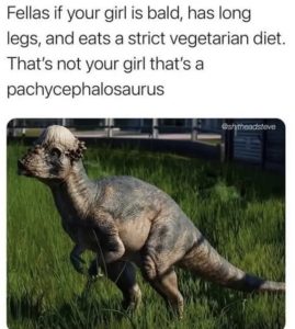 Stupid Bar Memes 6243220116