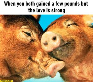 Stupid Bar Memes 657598cbe67