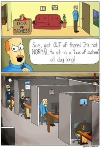 Stupid Bar Memes 72b07d2