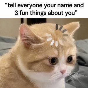 Stupid Bar Memes 740787