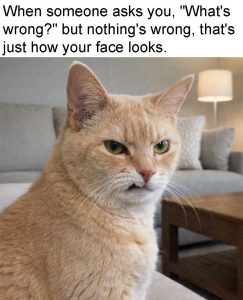 Stupid Bar Memes 744165