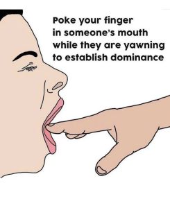 Stupid Bar Memes 8203ba55