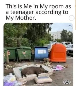 Stupid Bar Memes 956320961