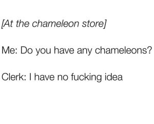 Stupid Bar Memes 96745c2b