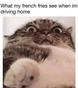 Stupid Bar Memes 9ee9d9736d