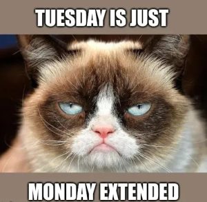Stupid Bar Memes Grumpeme