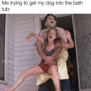 Stupid Bar Memes a0e2KEXss