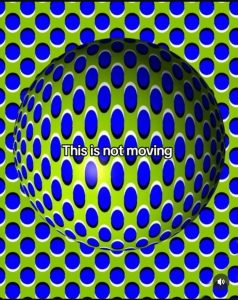 Stupid Bar Memes a34m9Ovss