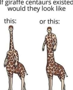 Stupid Bar Memes a9y9nxLss