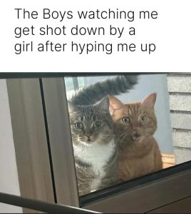 Stupid Bar Memes a9yoVnmss