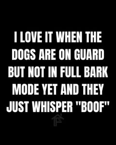 Stupid Bar Memes aAyj8Z2ss