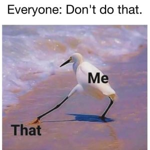 Stupid Bar Memes aAyoBZRss