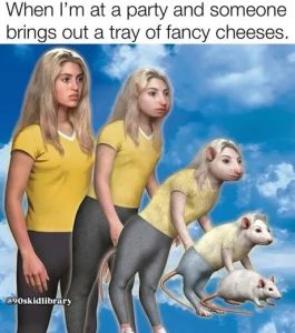 Stupid Bar Memes aBy7Y91ss