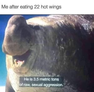 Stupid Bar Memes aByp55Oss
