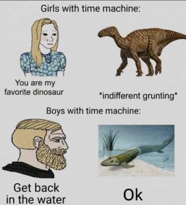 Stupid Bar Memes aD2yK39ss