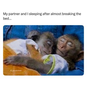 Stupid Bar Memes aGyWyZXss
