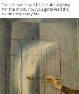 Stupid Bar Memes aLnx5bvss