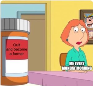 Stupid Bar Memes aMV39vMss
