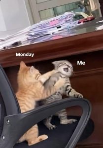 Stupid Bar Memes aNDNqm0ss
