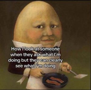 Stupid Bar Memes aO8wjq2ss