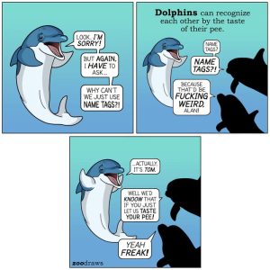Stupid Bar Memes aQzGKNWss