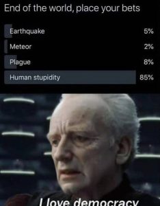 Stupid Bar Memes aVvAGW8ss