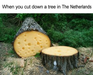 Stupid Bar Memes aXP5bggss