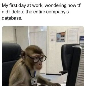 Stupid Bar Memes aXPBD9vss