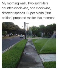 Stupid Bar Memes aXPBDn2ss