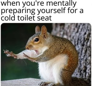 Stupid Bar Memes aYQ9nDwss