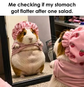 Stupid Bar Memes abA9qzXss