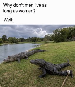 Stupid Bar Memes an7L7eEss