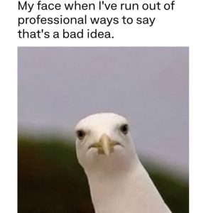 Stupid Bar Memes aoyb2y2ss