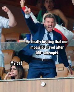 Stupid Bar Memes aoybjVXss