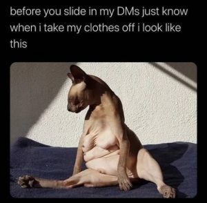 Stupid Bar Memes apRWBebss
