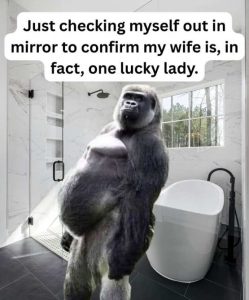 Stupid Bar Memes apirrorswi