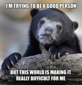 Stupid Bar Memes aqyq2wpss