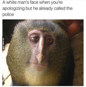 Stupid Bar Memes aqyqgXZss