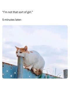 Stupid Bar Memes aryjvWBss