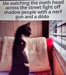 Stupid Bar Memes avy3n55ss