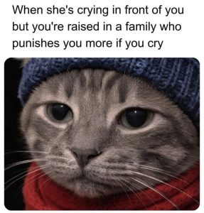 Stupid Bar Memes avy3ybbss