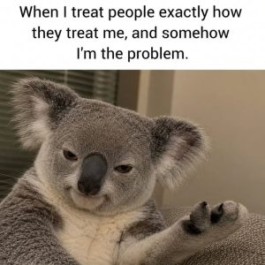 Stupid Bar Memes axyXEzKss